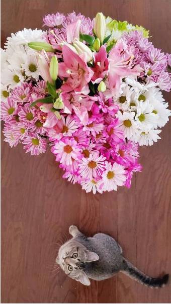 Bridal party posies